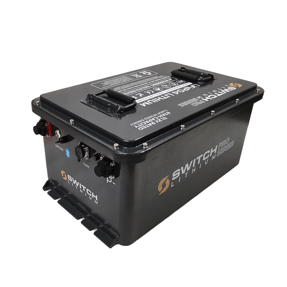 48V (67AH) Golf Buggy Cart Lithium Battery Charger Display